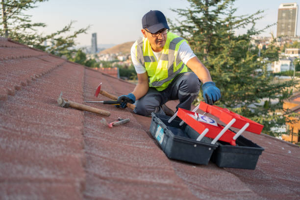 Best Storm Damage Siding Repair  in Farmers Loop, AK